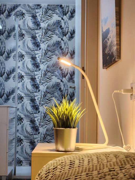 Apartamento Piso De Diseno Elche