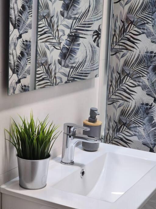 Apartamento Piso De Diseno Elche
