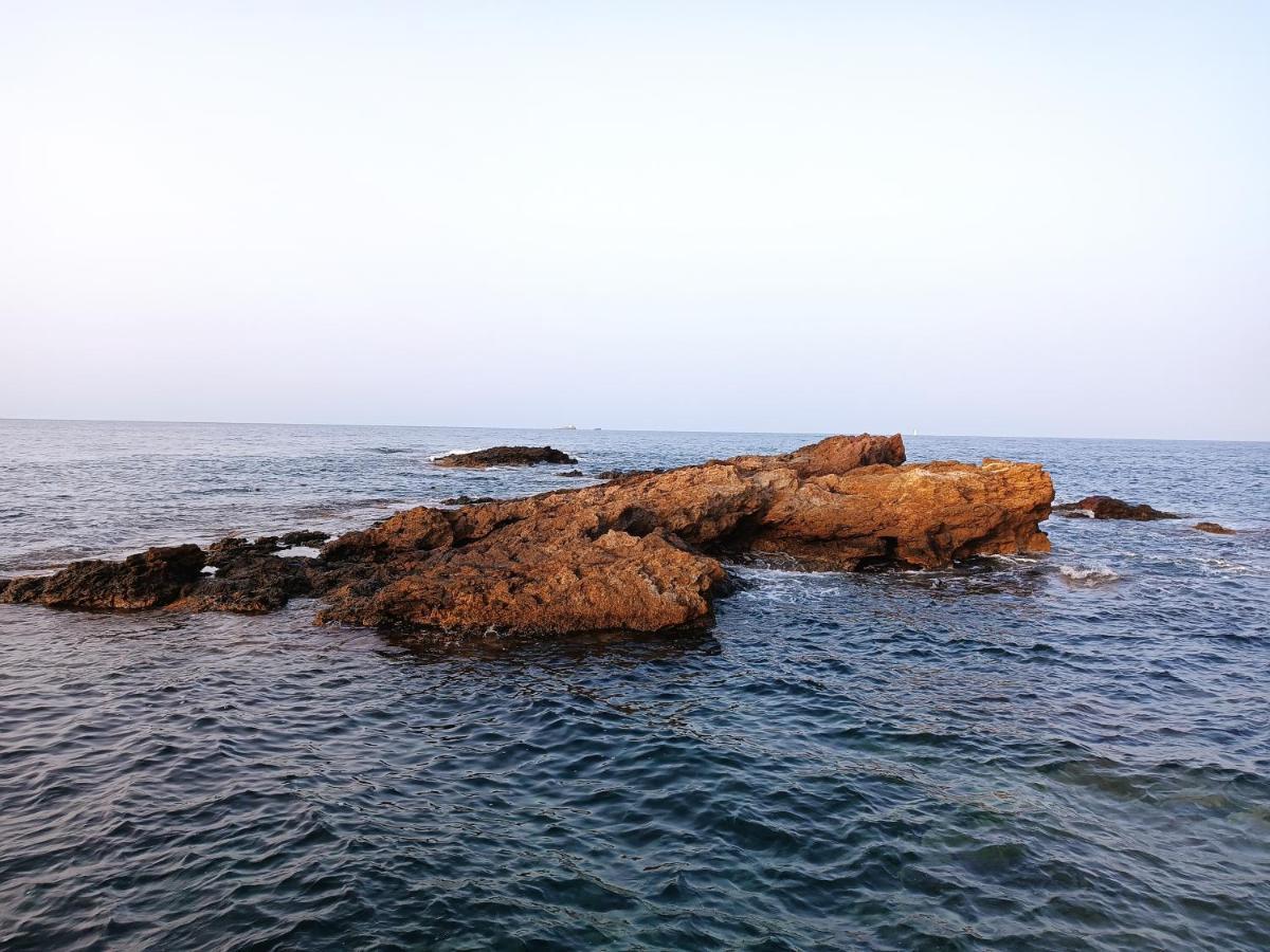 Vvmu 4780-1 * Cabo de Palos