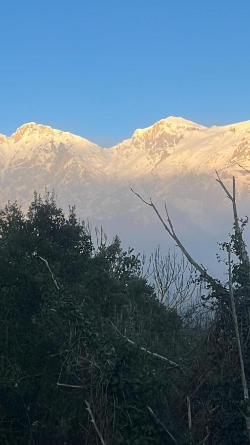 Basiver - Pico San Carlos *