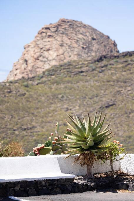 Apartamento El Retamar, Naturaleza Y Paisajes *