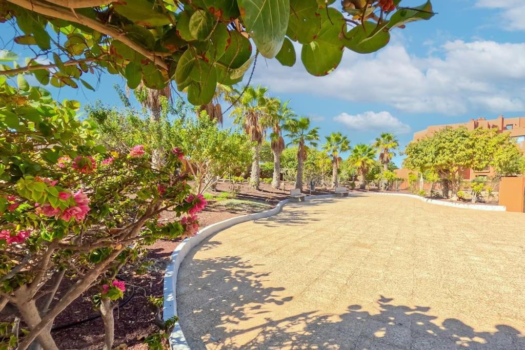 Apartment 1bd In Lovely Tejita *