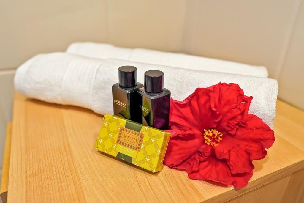 Apartment 1bd In Lovely Tejita *