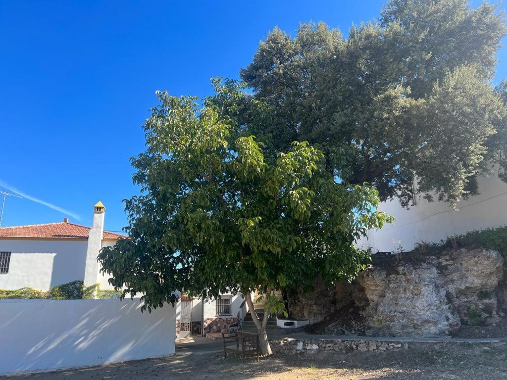 Casa rural Rural Huerta Mandre Cuevas del Becerro