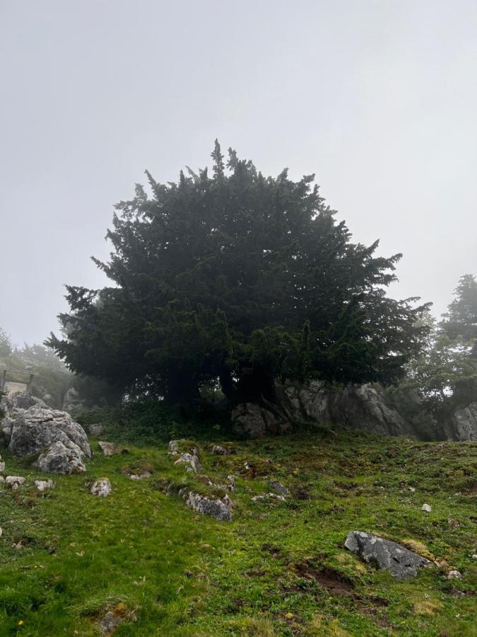 Basiver - Pico Samelar Casa rural