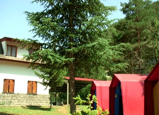 Campsite El Chate Tiendas *