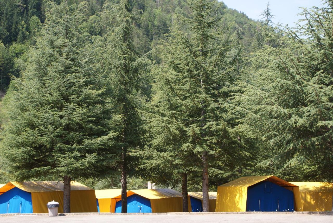 Campsite El Chate Tiendas Sarvise