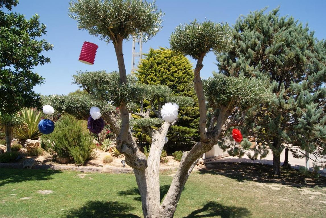 Casa Jardines De Lola *