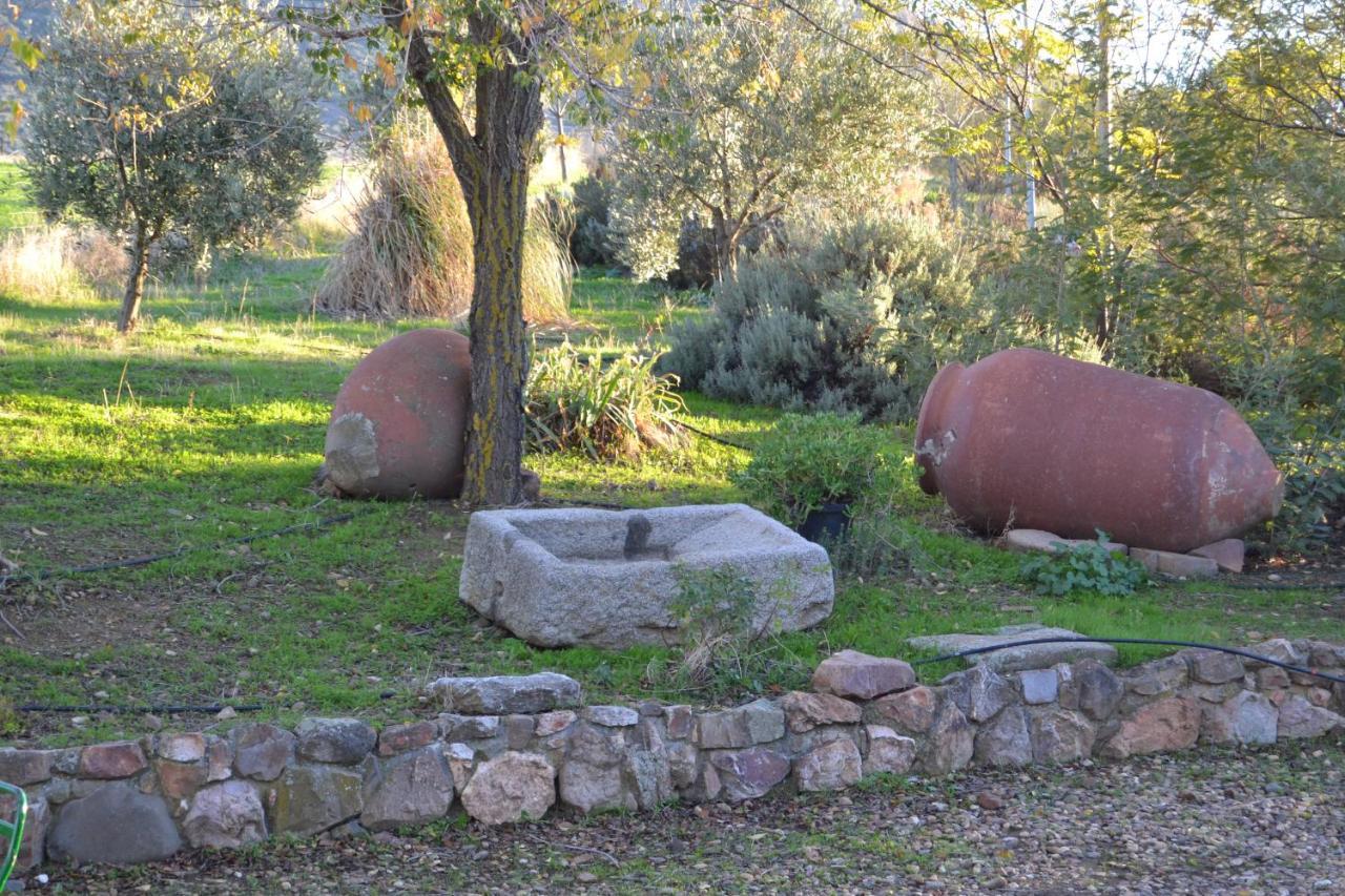 La Loma * Cabeza del Buey