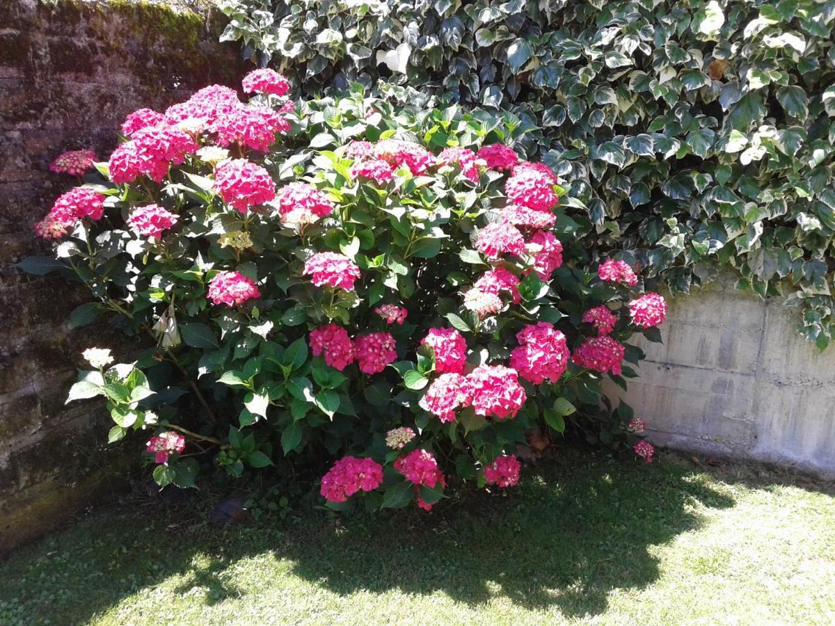 Holiday home La Ermita Camaleno