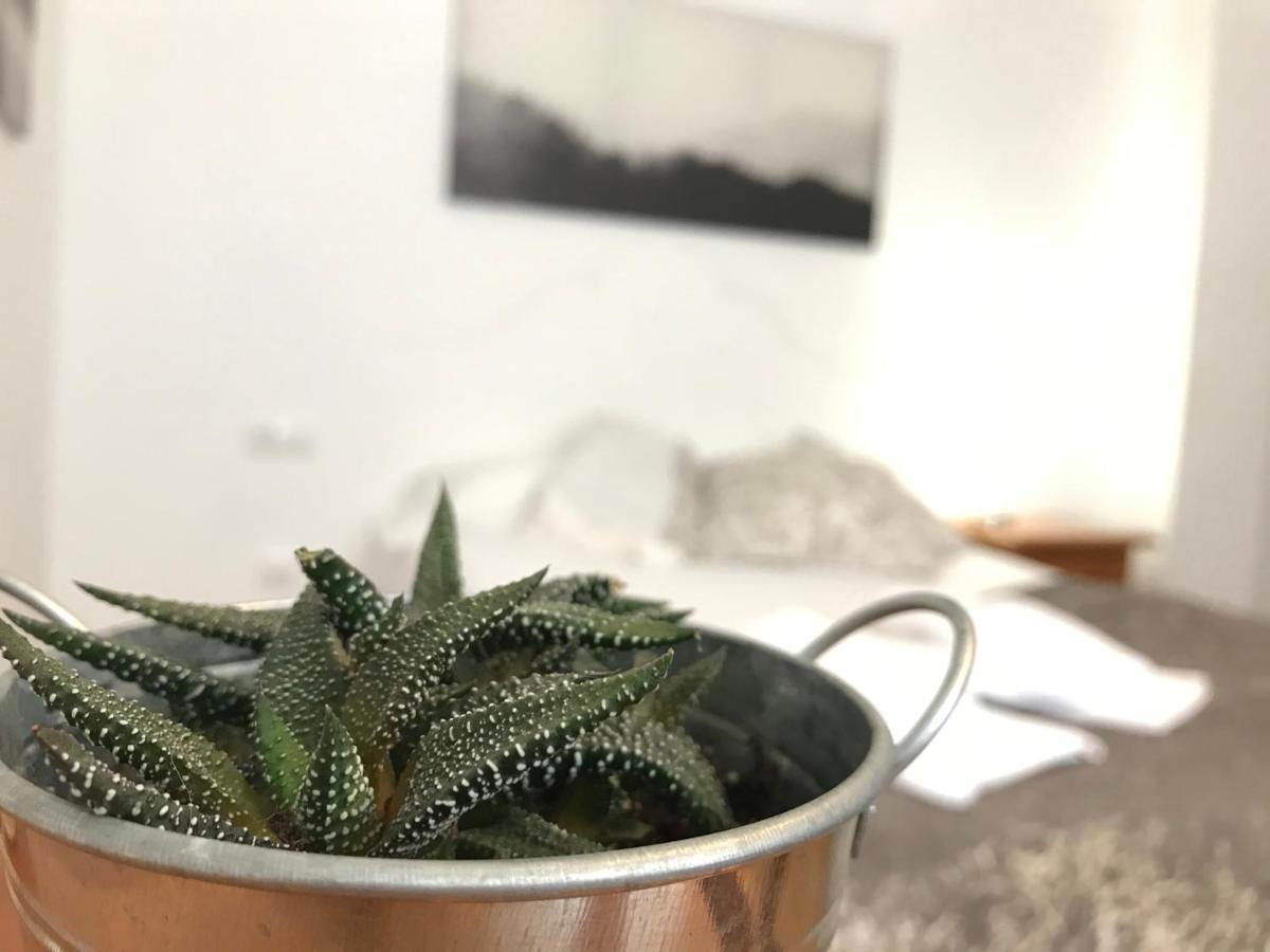 Apartamento Arha *