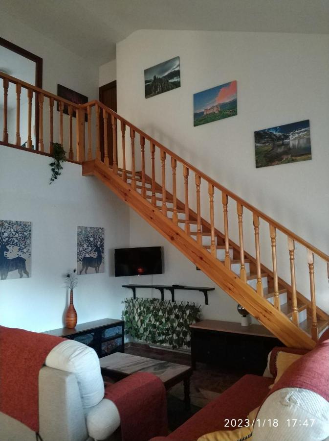 La Lechuza Blanca Chalet Casavieja