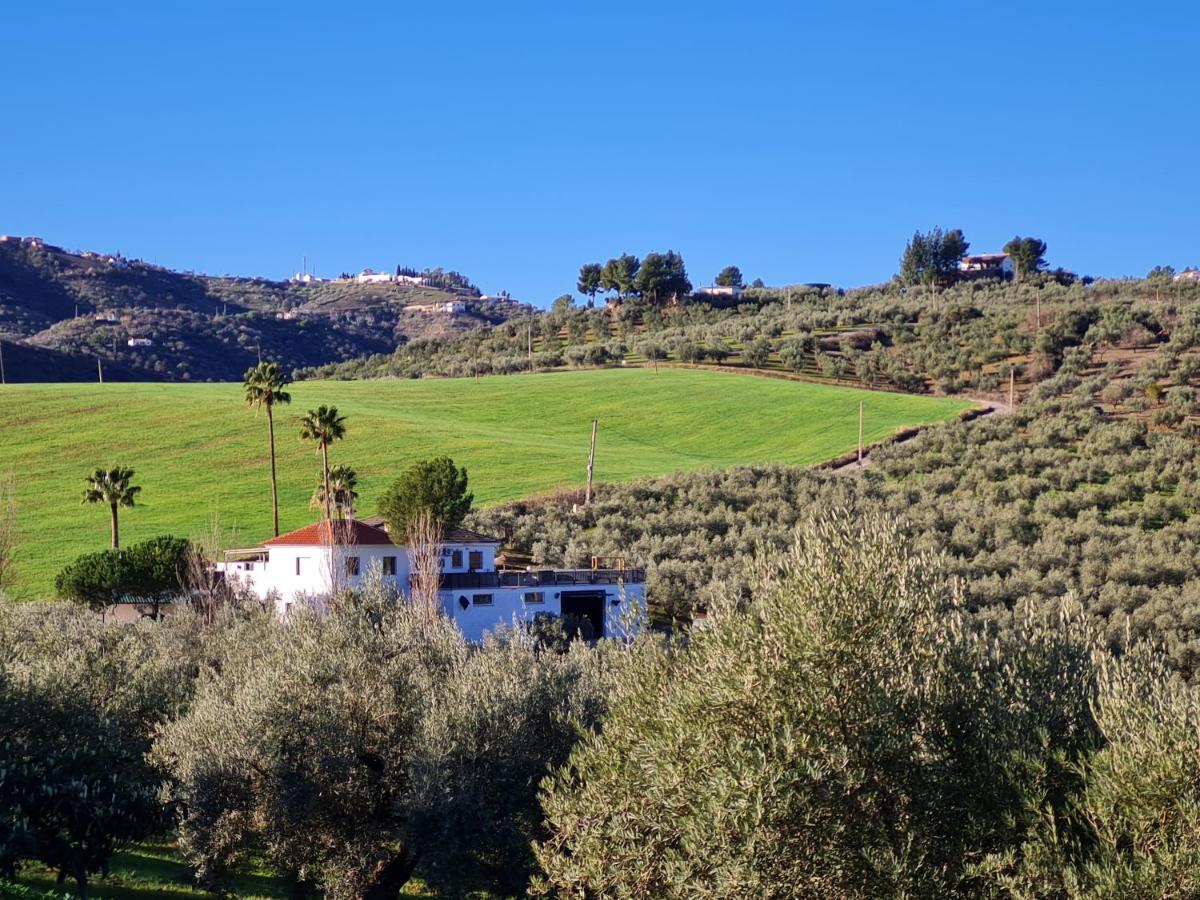 Casa Metaverdi Bed and breakfast *