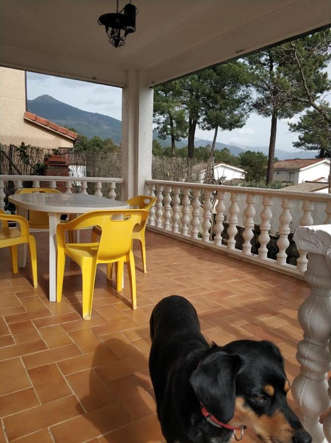 La Lechuza Blanca Chalet Casavieja
