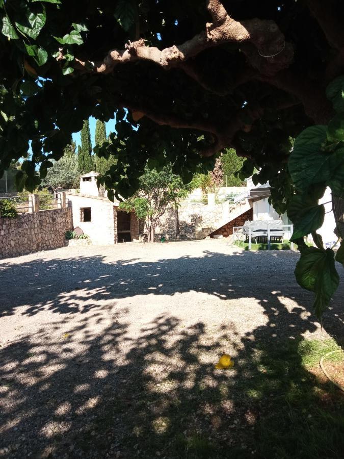 Apartamento Palmeras Alberic