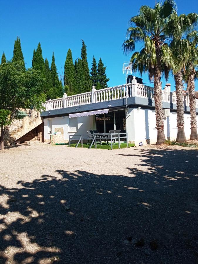 Palmeras