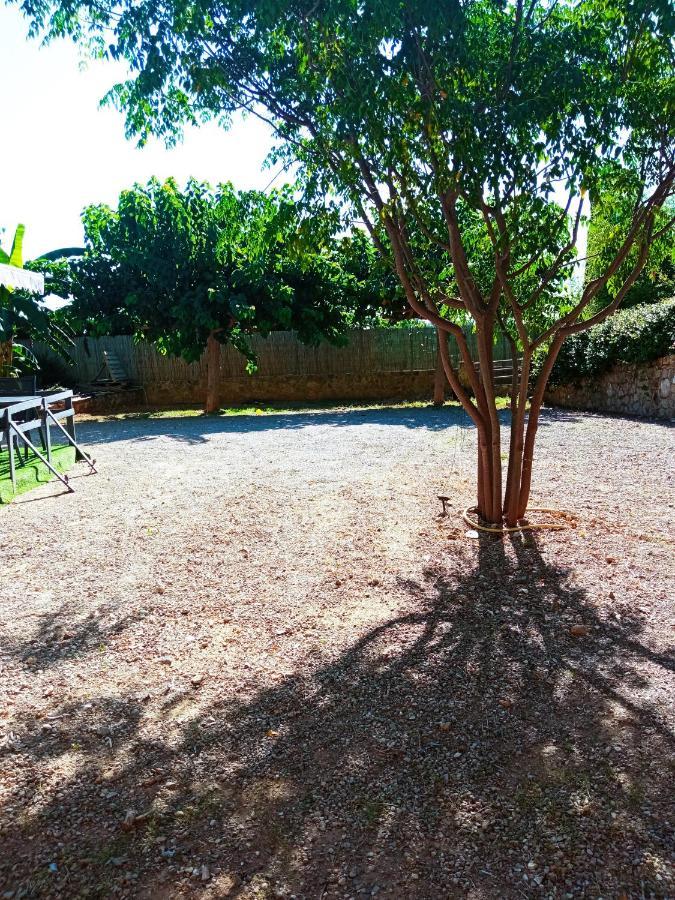 Apartamento Palmeras Alberic