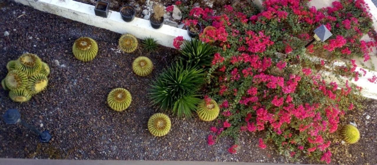 Apartamento Beautiful 2 Bedroom Near Puerto Rico *