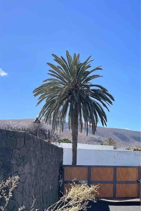 Sport & Culture Nest Yaiza (Lanzarote)