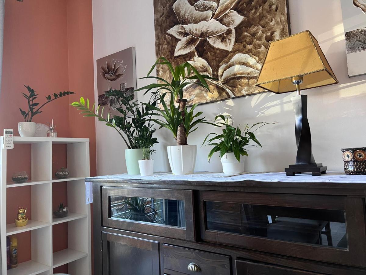 Homestay Marisma Polvolin Huelva