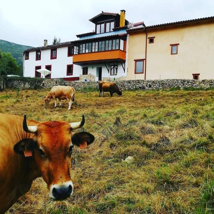 Casa Cosaratu, 2-9 Personas Сasa de vacaciones Borines
