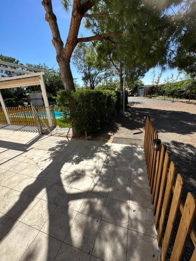 La Condesa De Mora