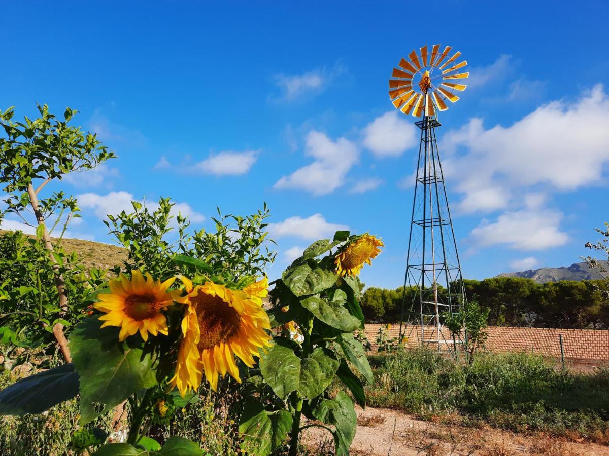 Ecoturismo Cabo Tinoso Murcia