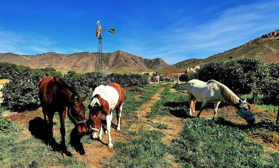 Ecoturismo Cabo Tinoso Country house