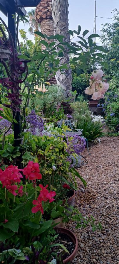 Casa Flora Garden El Sauzal