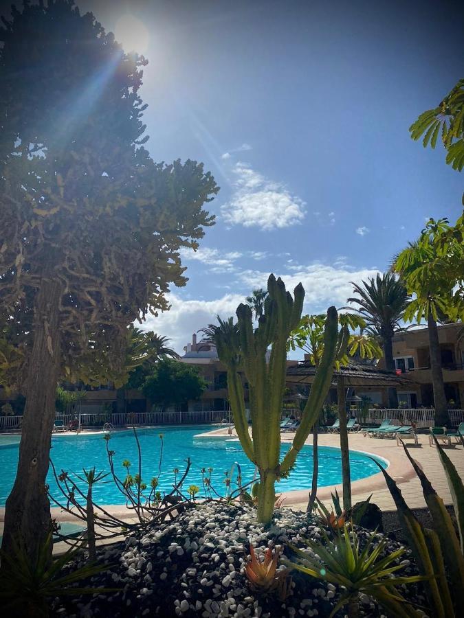 Apartamento Caracol Corralejo