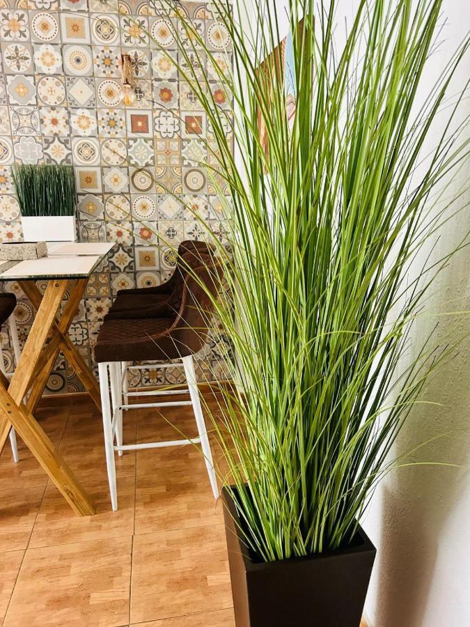 Apartamento Boutique Flat With Terrace