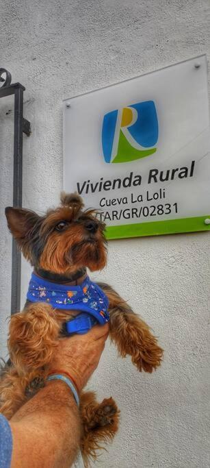 Cueva La Loli Сasa de vacaciones *