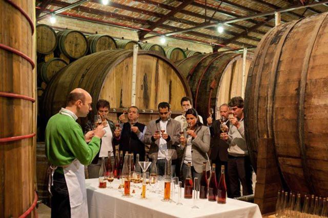 Apartamento Capital Del Vino Con Vistas A La Montana
