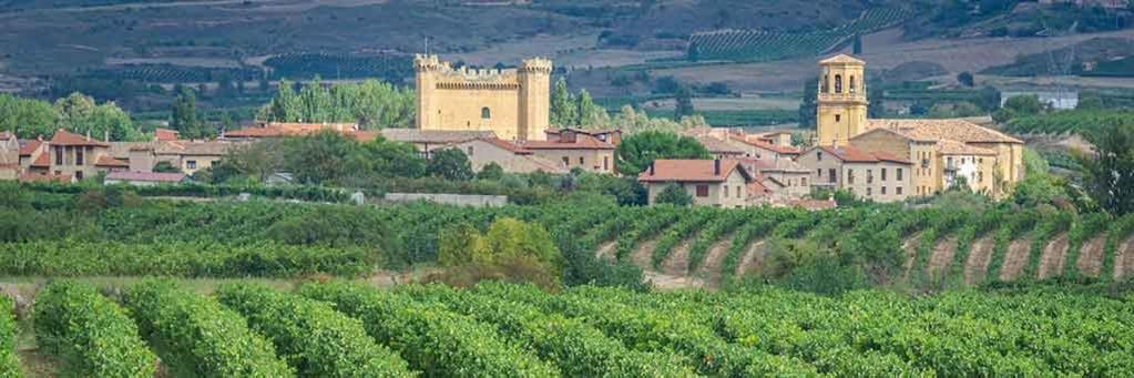 Capital Del Vino Con Vistas A La Montana Haro