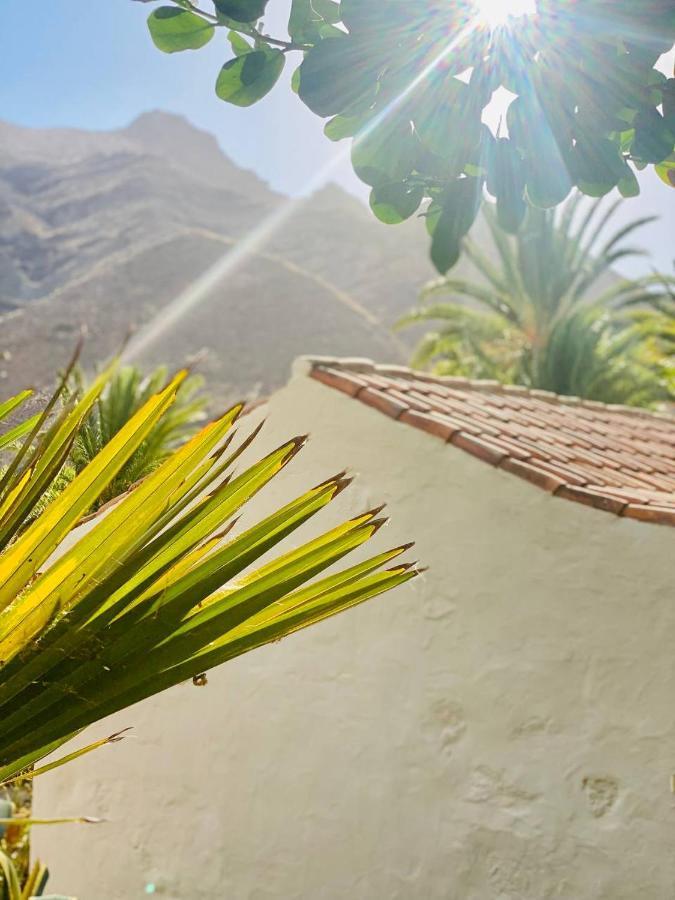 Origen - Casa Trinidad - Rural- Unique San Pedro (Gran Canaria)