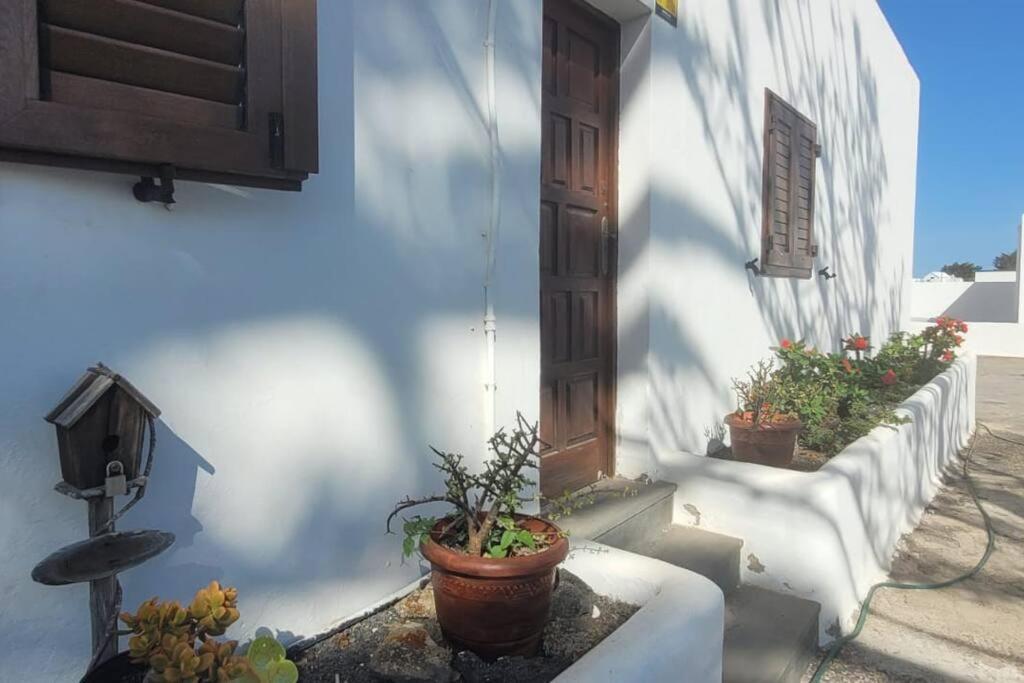 Сasa de vacaciones Sabbia Casa Malvasia