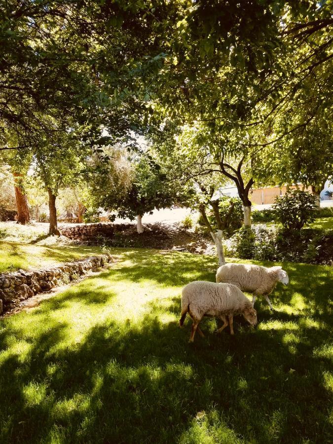 Cortijo Bablou - Maison De (adults Only) *