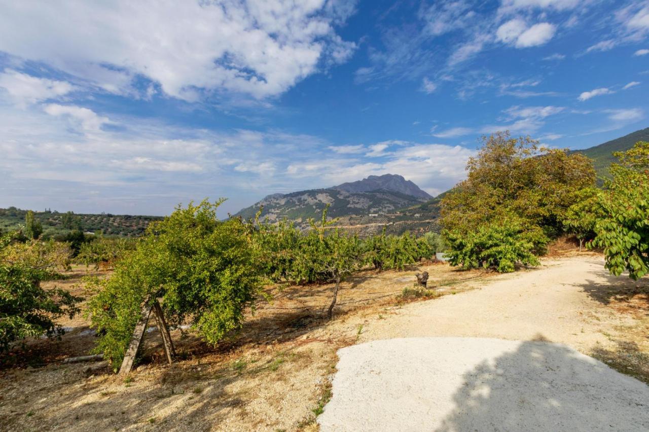 Casa Jurinea Alzar Holiday home *