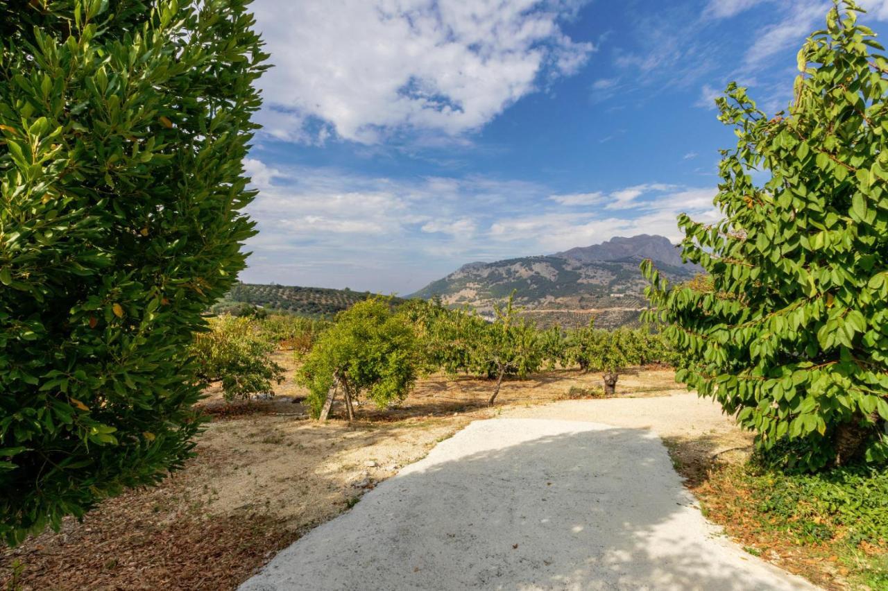 Casa Jurinea Alzar Holiday home *
