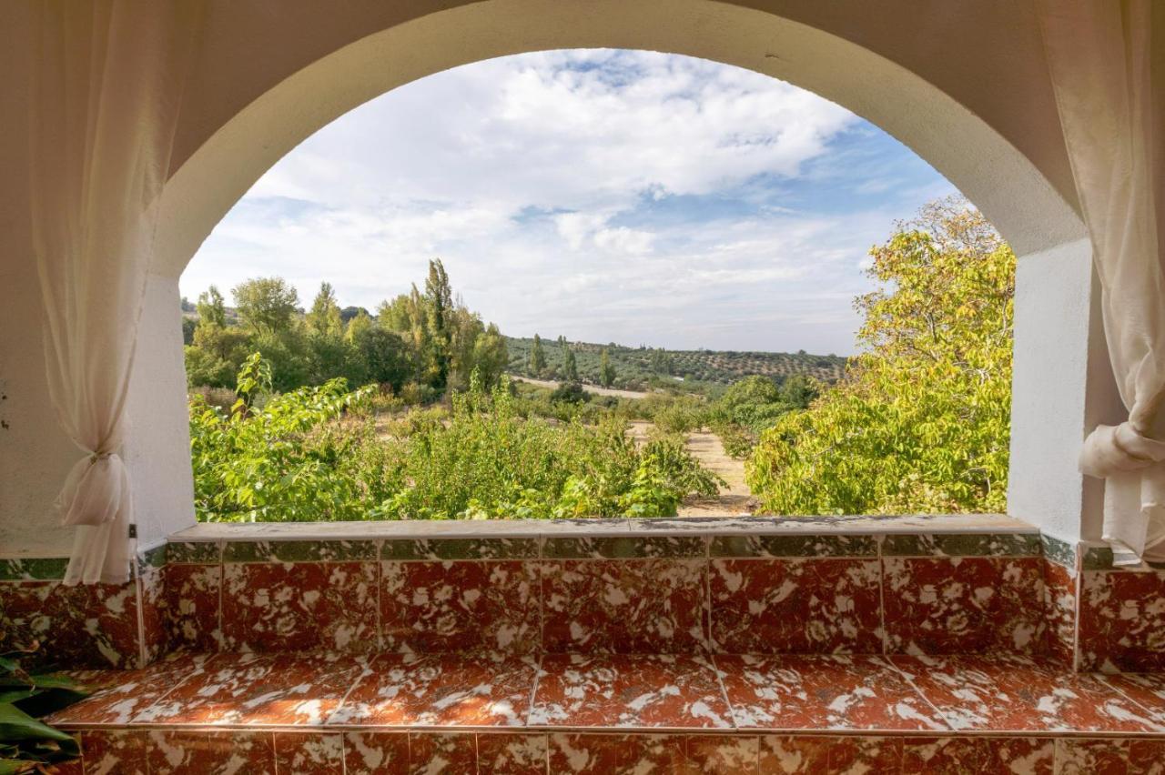 Casa Jurinea Alzar