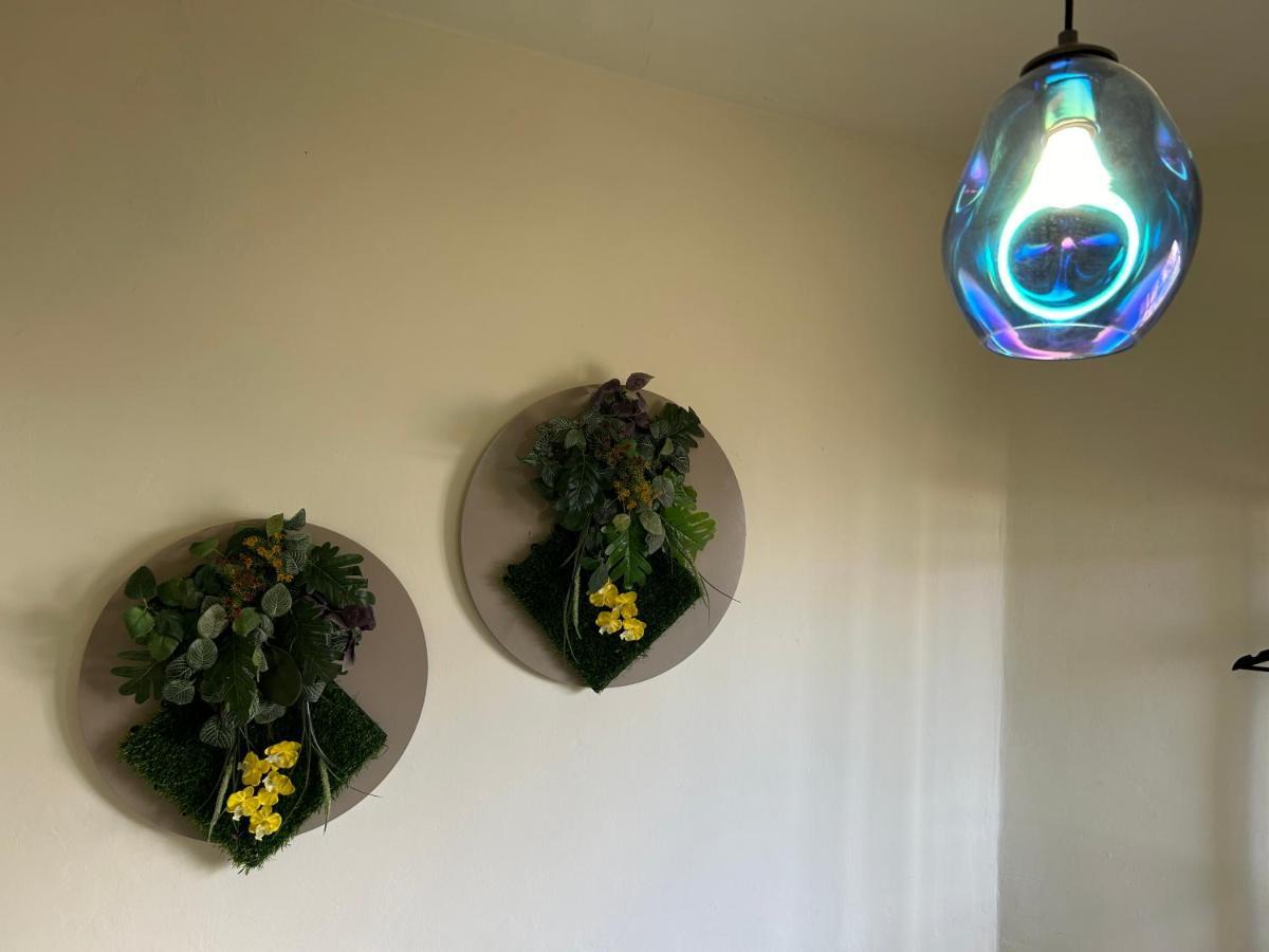 Apartment Dream Anaga