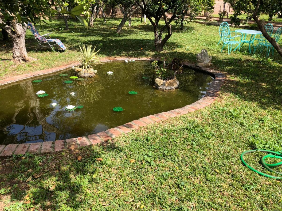 La Casita Del Cactus - Con Piscina *