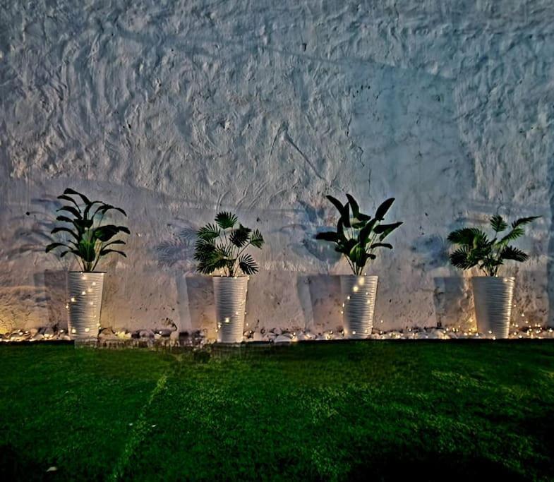 Villa La Casa Del Arbol