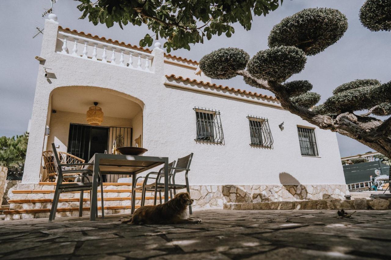 Oliveres3 L'Ampolla