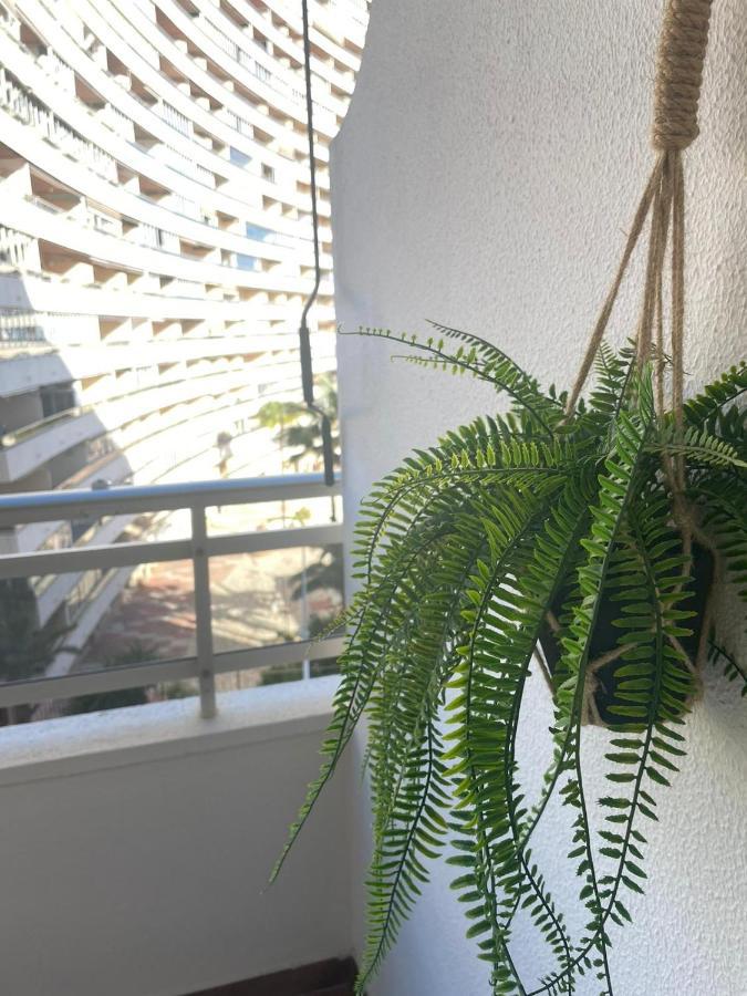 Apartamento Vive El Mediterraneo - Con Piscina En