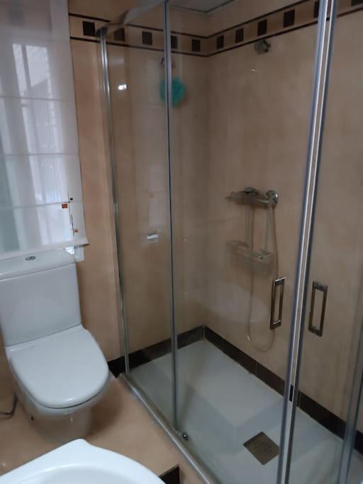 Recogidas Deluxe Apartamento Granada