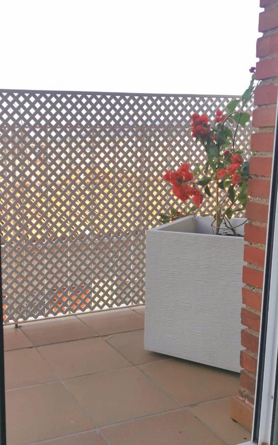 Apartamento Atico Terrassa