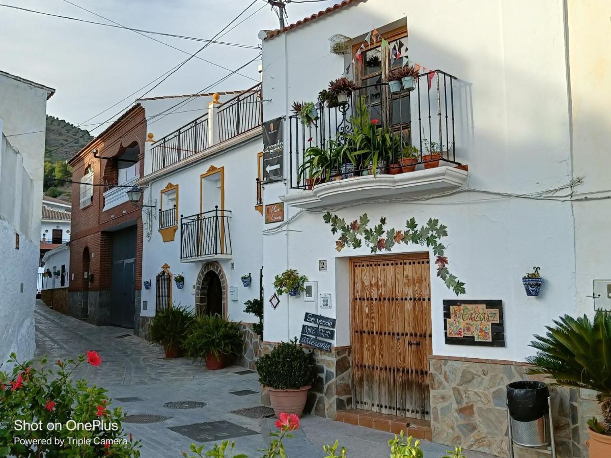 Casa Medina - Private With Terrace And Sea View, 25 Minutes From Malaga * Moclinejo