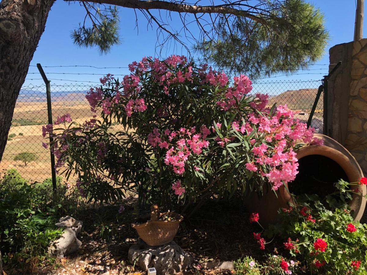 Holiday home El Castillo De Ciruelas