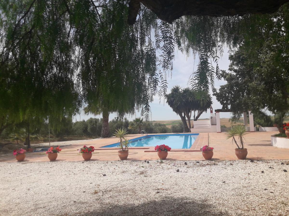 Finca Castellares *